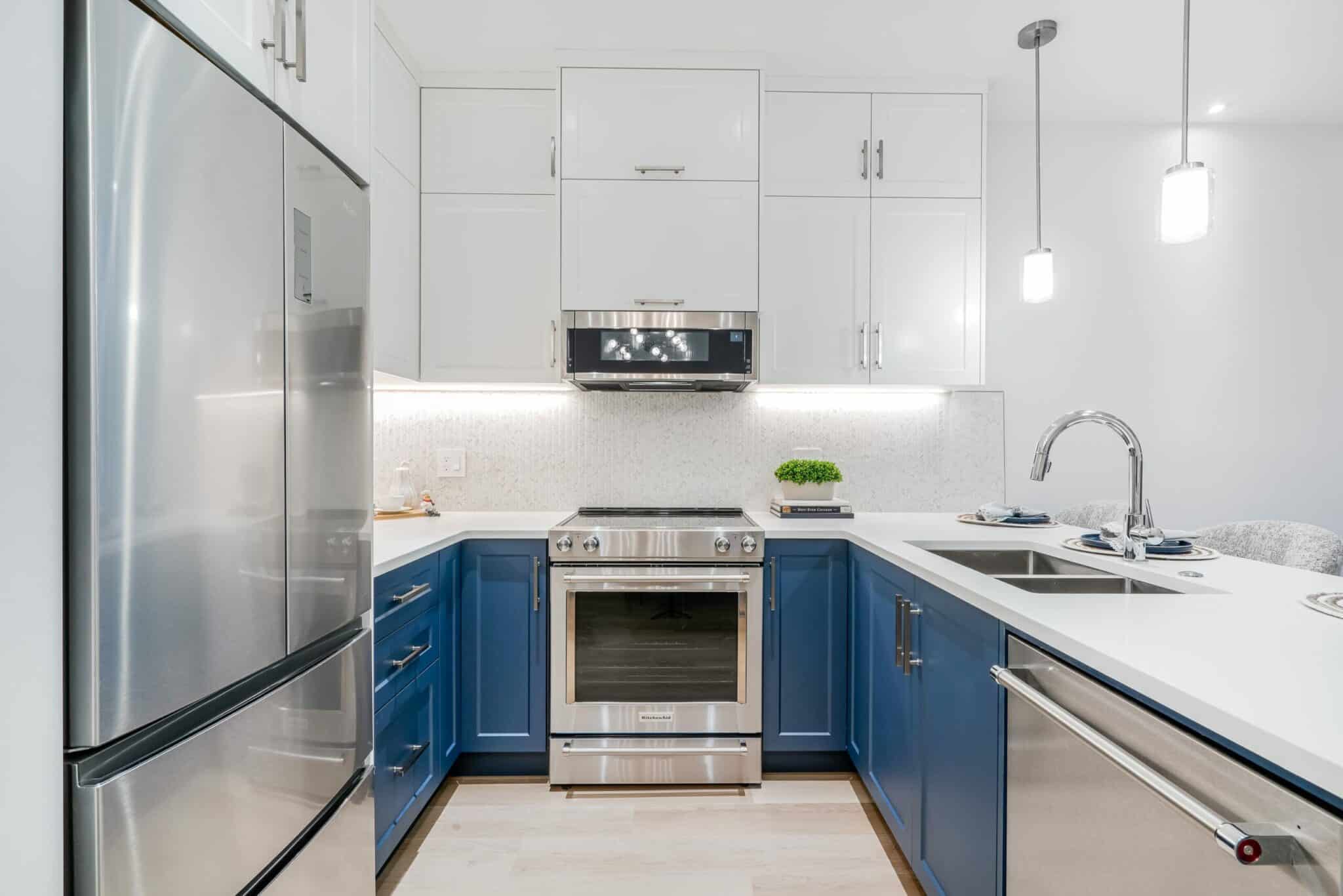 kitchen-renovation-modern-traditional-transitional-vancouver-staging-stainless-steel-appliances-sink-faucet-unique